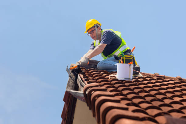 Fast & Reliable Emergency Roof Repairs in Leo Cedarville, IN